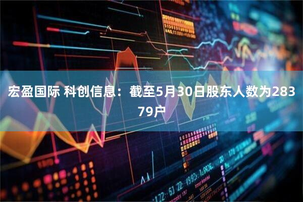 宏盈国际 科创信息：截至5月30日股东人数为28379户