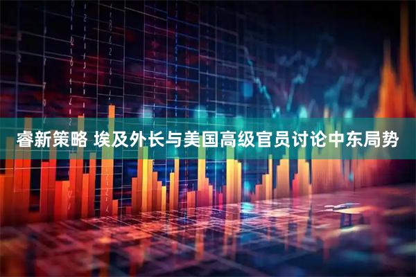 睿新策略 埃及外长与美国高级官员讨论中东局势