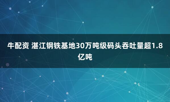 牛配资 湛江钢铁基地30万吨级码头吞吐量超1.8亿吨