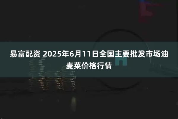 易富配资 2025年6月11日全国主要批发市场油麦菜价格行情