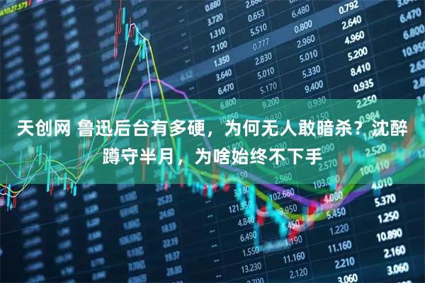 天创网 鲁迅后台有多硬，为何无人敢暗杀？沈醉蹲守半月，为啥始终不下手